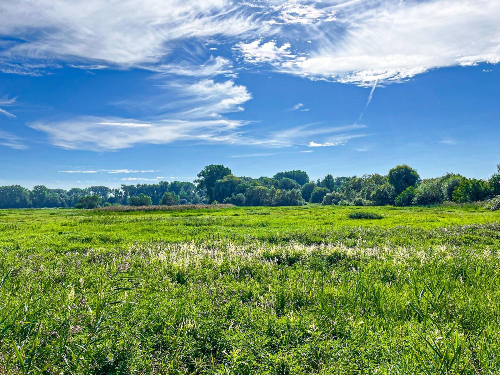 Haffblick Wohnung 43 Boltenhagen  Exteriör bild